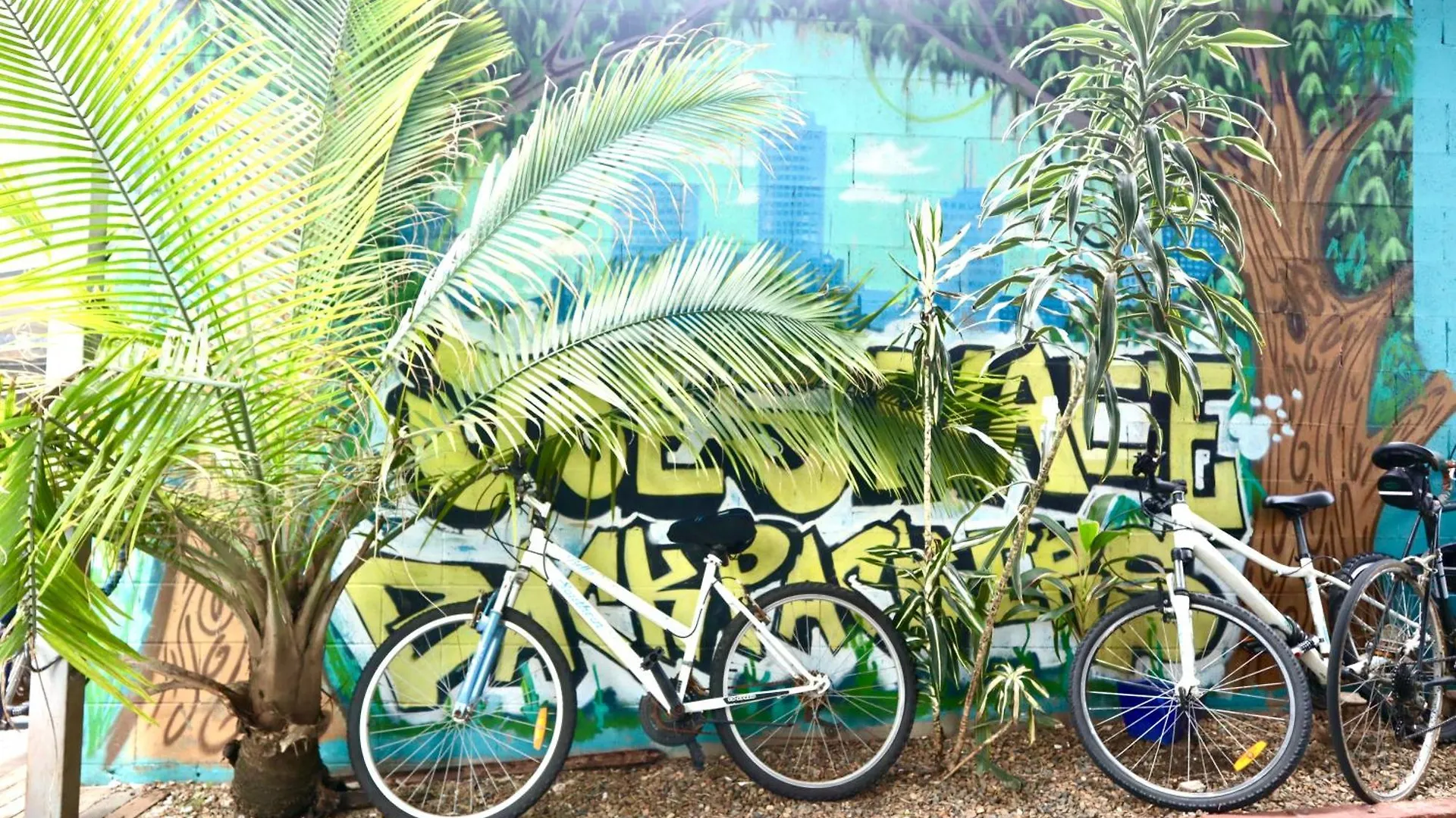 Hostel City Backpackers Hq Brisbane